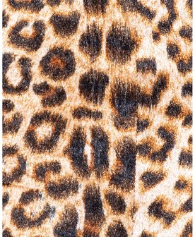 Leopard Print Tube Top & Flared Trouser Co Ord Set