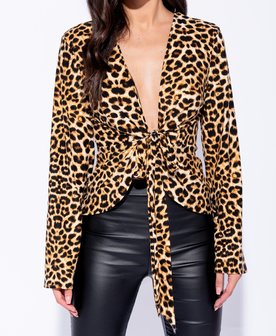 Leopard Print Flare Sleeve Tie Front Top