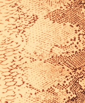 Snake Print One Shoulder Crop Top in Oranje