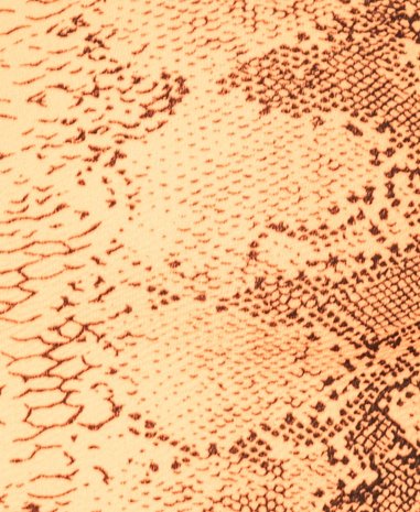 Snake Print One Shoulder Crop Top in Oranje